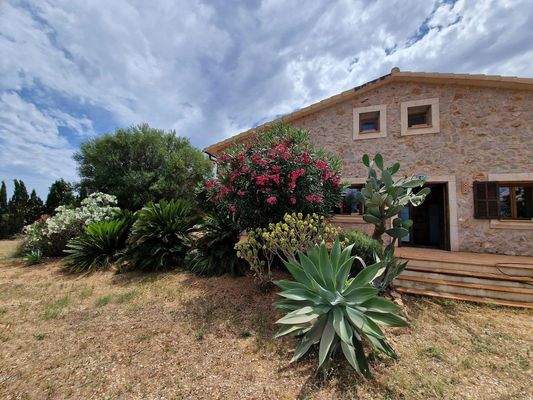 Blütenpracht im Hochsommer