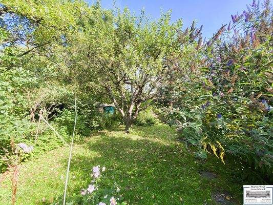 Blick in den Kleingarten