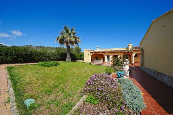 Pflegeleichter Garten