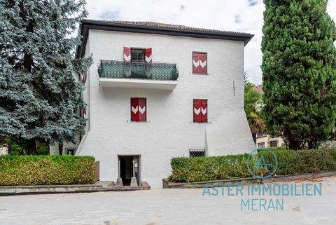 Meran Ladenlokale, Ladenflächen 