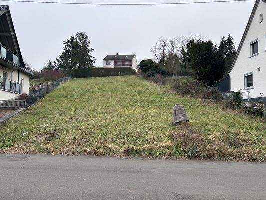 Monzingen_Grundstück von unten hoch_Winter-Nebel