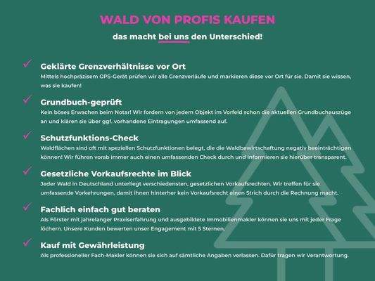 Wald von Profis kaufen.jpg