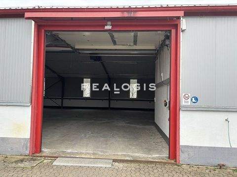 Nürnberg Halle, Nürnberg Hallenfläche