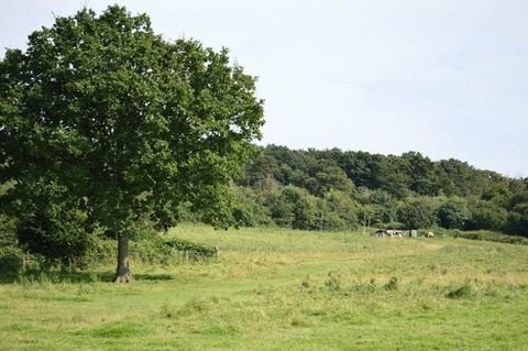 Tiefenbach Grundstücke, Tiefenbach Grundstück kaufen