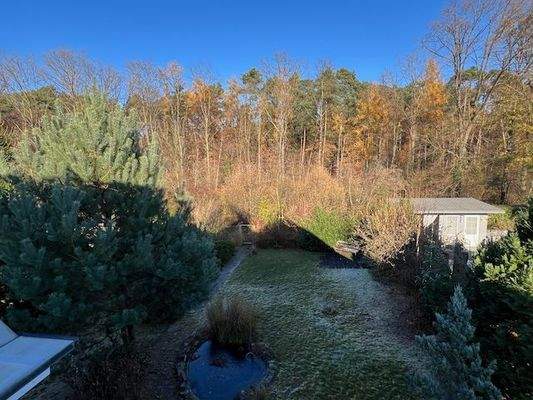 DG |&nbsp;Ausblick Garten und auf Abteiwald