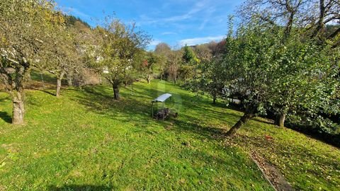 Wald-Michelbach Grundstücke, Wald-Michelbach Grundstück kaufen