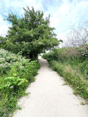 Strandaufgang ETW Börgerende.JPG