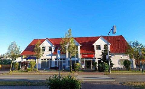 Graal-Müritz Wohnungen, Graal-Müritz Wohnung mieten