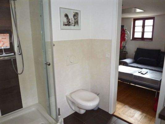 Duschbad (Dachgeschoss)