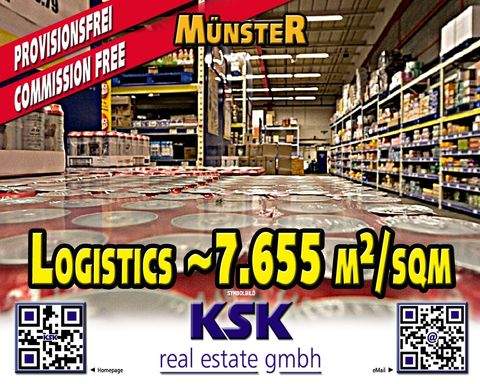 Münster Halle, Münster Hallenfläche