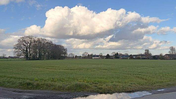 Landwirtschaftsfläche