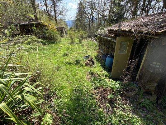 Wiese und einzelne Schuppen