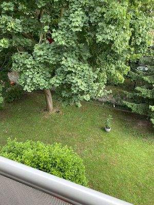 Blick in Gemeinschaftsgarten