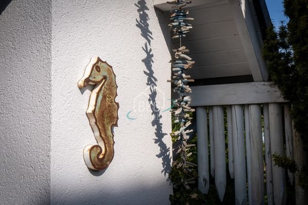 Detail Ansicht