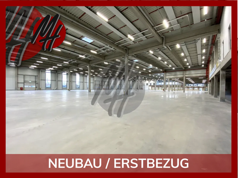 Neu-Isenburg Halle, Neu-Isenburg Hallenfläche