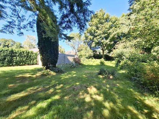 Blick in den Garten Bild 2