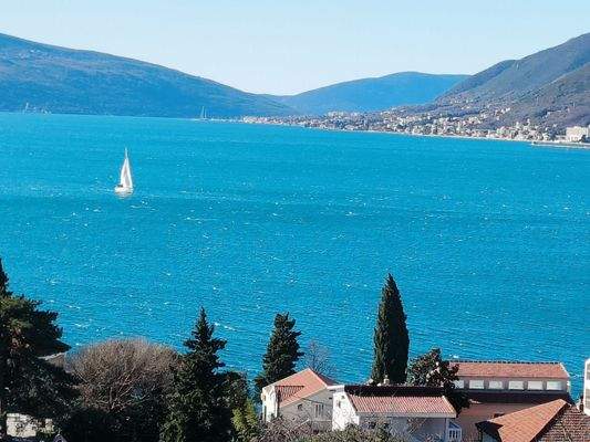 WhatsApp Image 2024-01-29 at 08.45.38.jpeg