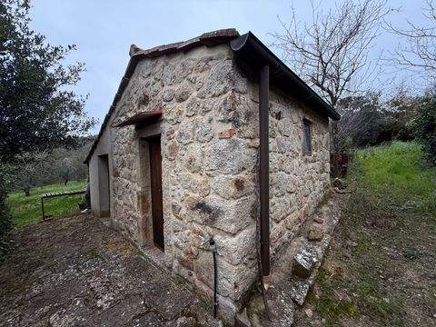 Roccastrada Grundstücke, Roccastrada Grundstück kaufen