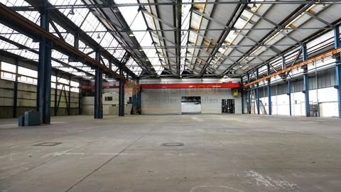 Hannover Halle, Hannover Hallenfläche