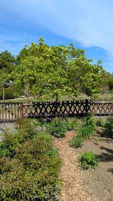 Garten Blick nach außen