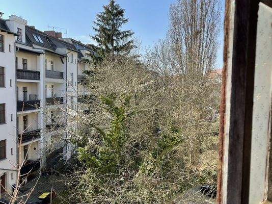 Hofseitiger Ausblick 2