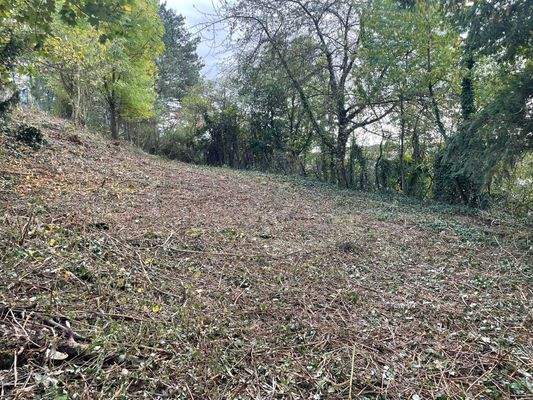 PHOTO-2025-10-14-16-55-09 3.jpg