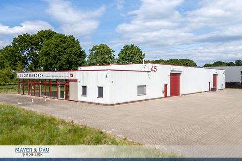 Bad Zwischenahn Halle, Bad Zwischenahn Hallenfläche