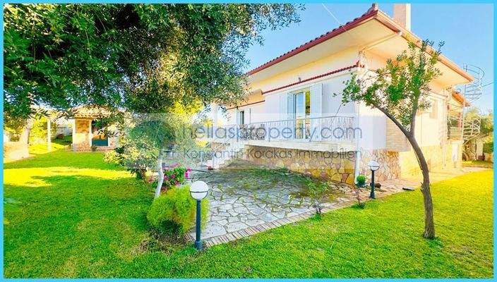 36ba7e2f620646849b5d2d35c5bb5bd1-original