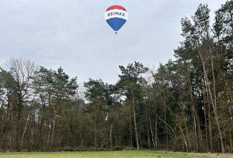 Welle Bauernhöfe, Landwirtschaft, Welle Forstwirtschaft