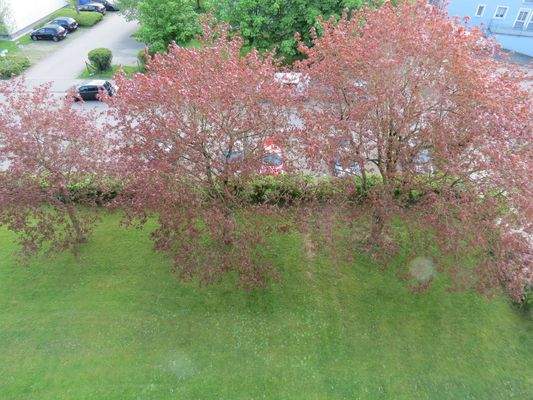 Parkplätze vor dem Haus