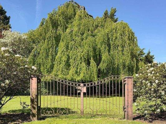 ...verwunschene Plätzen...