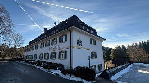 Hinterzarten Wohnungen, Hinterzarten Wohnung kaufen