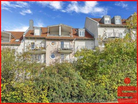 Kitzingen Wohnungen, Kitzingen Wohnung kaufen