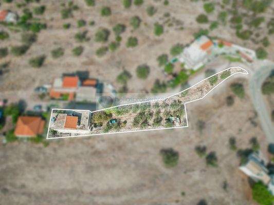 41a0242be5df44ec92842b2c9ca830bf-original