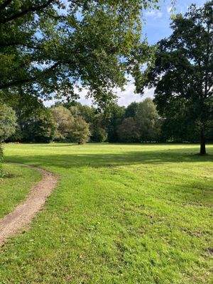 Der Park in der Nähe