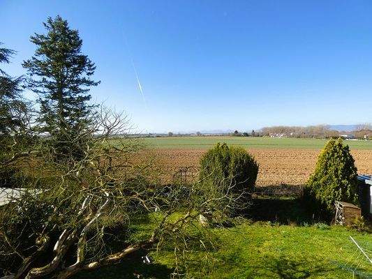 05 Blick vom Balkon OG.JPG