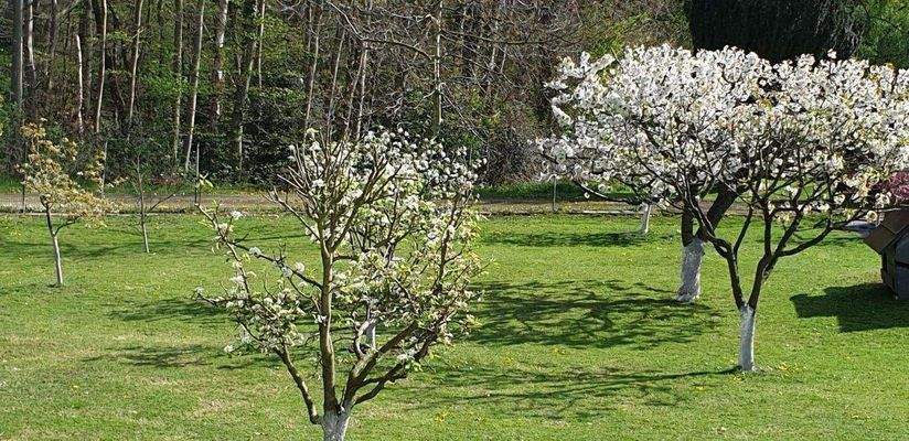 WhatsApp Image 2025-10-28 at 16.51.44-5.jpeg