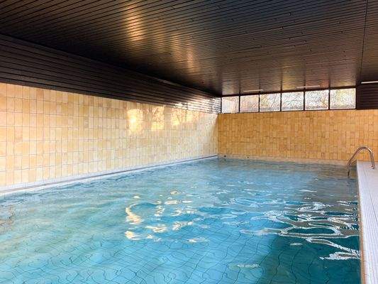 Großzügiges Schwimmbad