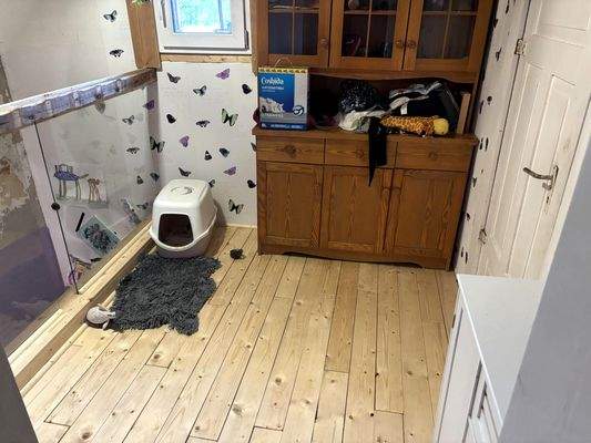 Zugang Bad Obergeschoss