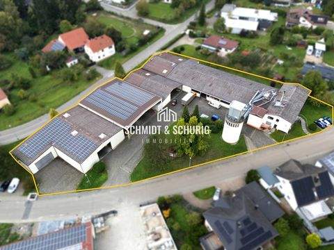 Kraichtal / Oberöwisheim Halle, Kraichtal / Oberöwisheim Hallenfläche