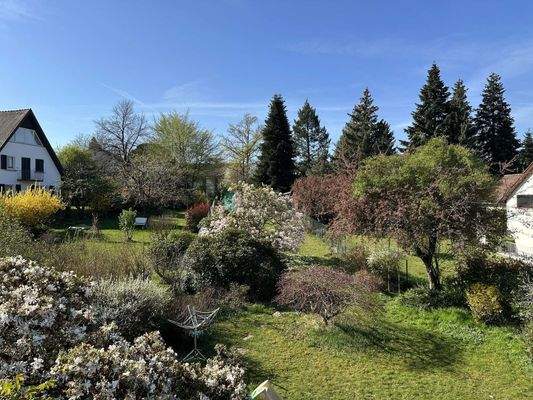 Ausblick - Dachterrasse
