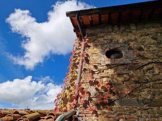 52LAzienda_ agricola_Toskana.jpg