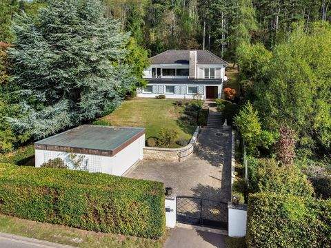 Stadtoldendorf Häuser, Stadtoldendorf Haus kaufen