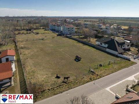 Gols Grundstücke, Gols Grundstück kaufen