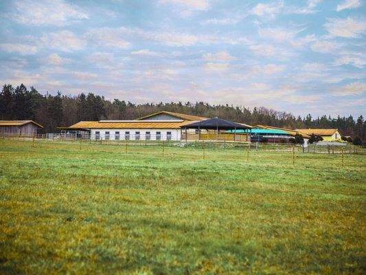 Blick auf Reitanlage V14177