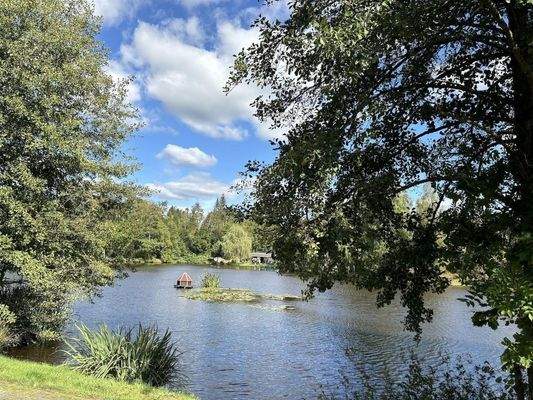 See & Waldbad Hasselfelde