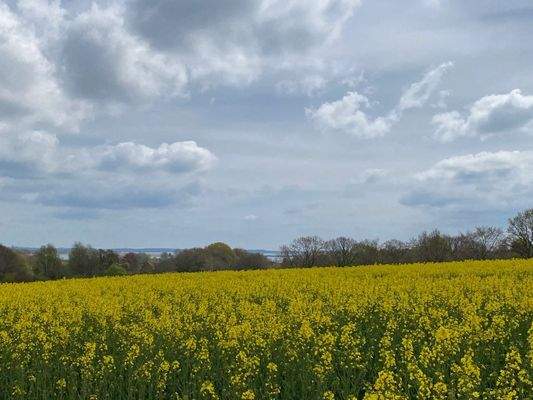 Blick auf die Schlei