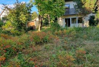 Garten mit Südansicht