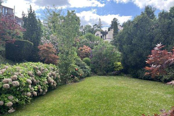 Gartenanlage mit Rasenfläche