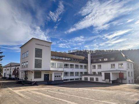 Albstadt Büros, Büroräume, Büroflächen 